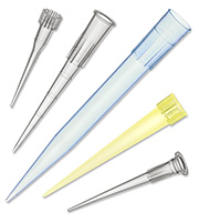 Qualitix Regular Tips Family Socorex   180x200px