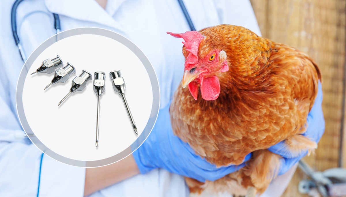 Comment déterminer la bonne qualité des aiguilles d’injection ?